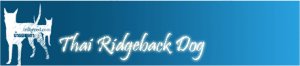 Fórum - Thai ridgeback