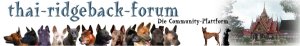 Německé Fórum - Thai ridgeback