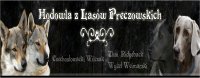 KENNEL z Lasow Preczowskich (PL)